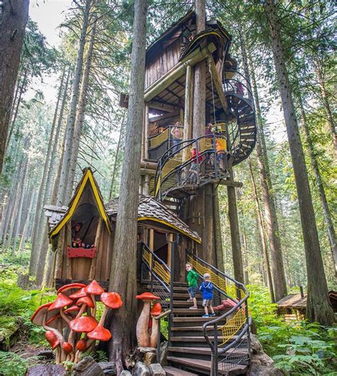 Watergont treehouse in a magical forest